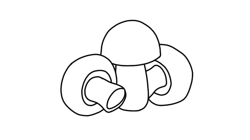 蘑菇植物简笔画