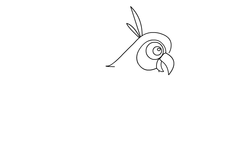 鹦鹉怎么画简笔画