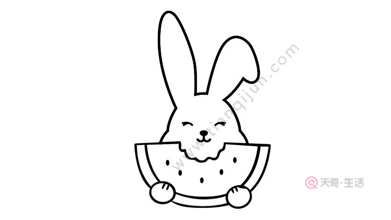 小动物简笔画之小白兔吃西瓜
