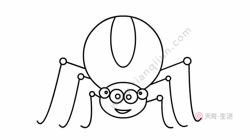 蜘蛛简笔画画法