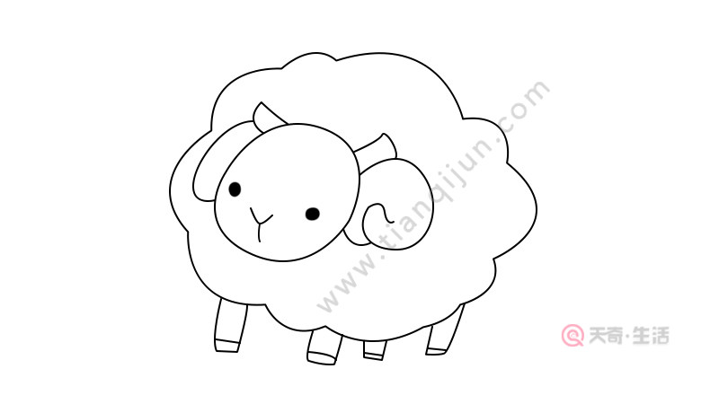小羊简笔画教程