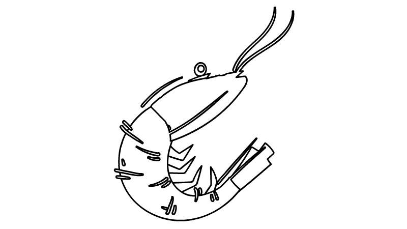 阿根廷大红虾简笔画