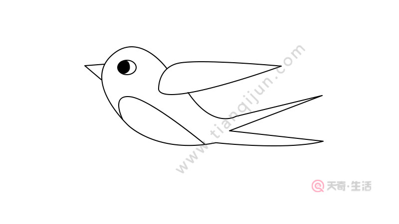然后画出小燕子的另一个翅膀.