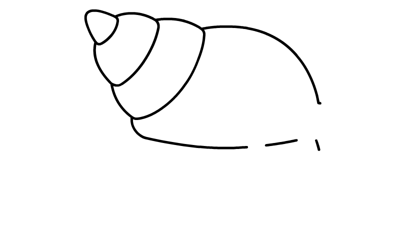 海蜗牛简笔画教程