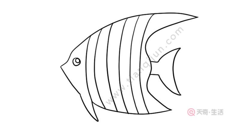 鱼简笔画的教程 鱼简笔画的画法