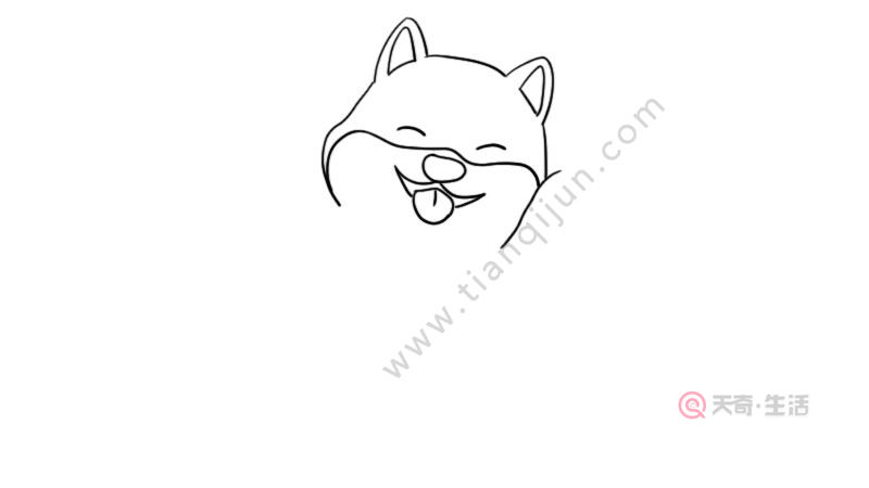 小柴犬简笔画的教程 小柴犬简笔画怎么画