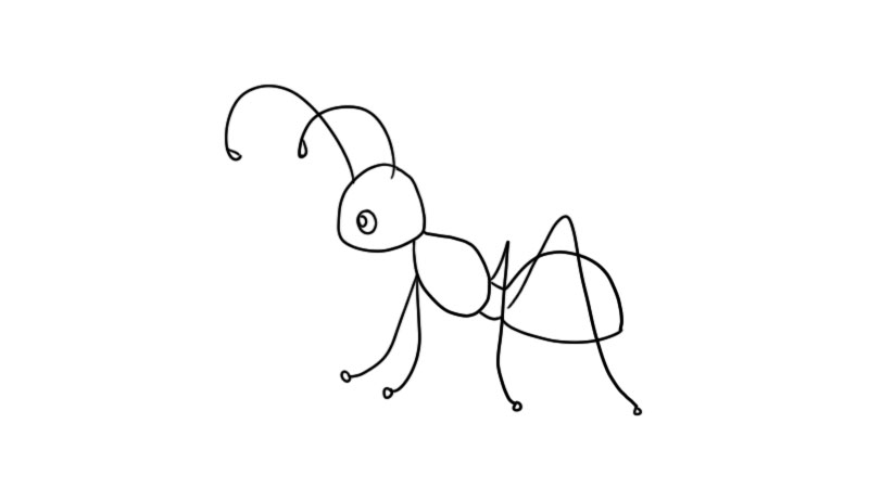 蚂蚁简笔画的画法