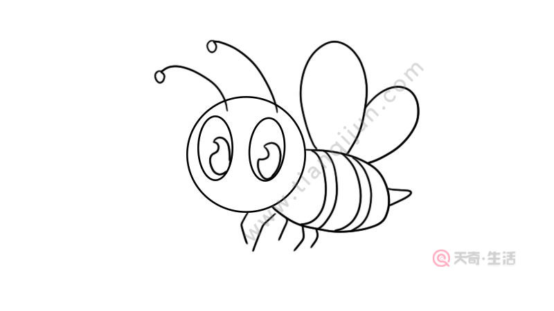 蜜蜂简笔画教程 蜜蜂简笔画画法