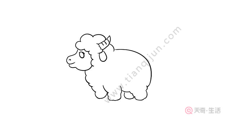 羊简笔画教程 羊简笔画步骤