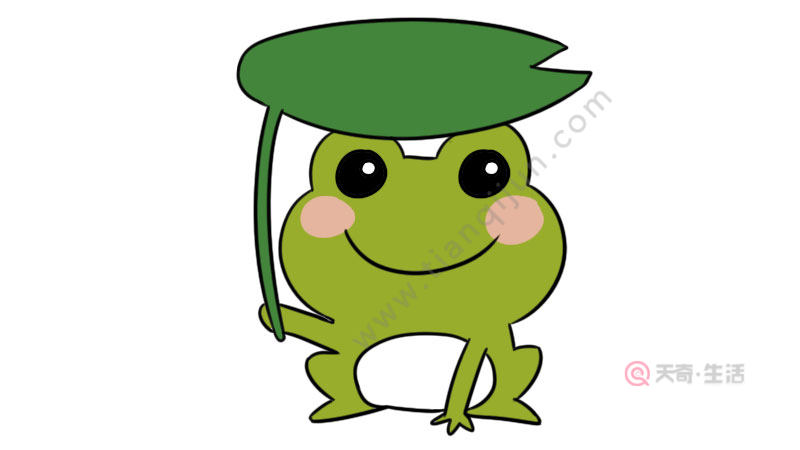 小青蛙的简笔画怎么画 小青蛙的简笔画教程