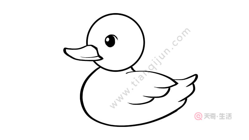 鸭的简笔画画法 鸭的简笔画教程