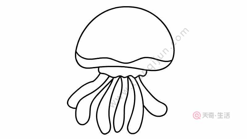 水母简笔画步骤 水母简笔画画法