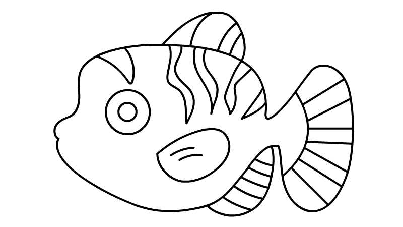 小丑鱼简笔画的画法