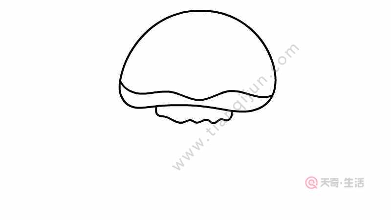 水母简笔画步骤 水母简笔画画法