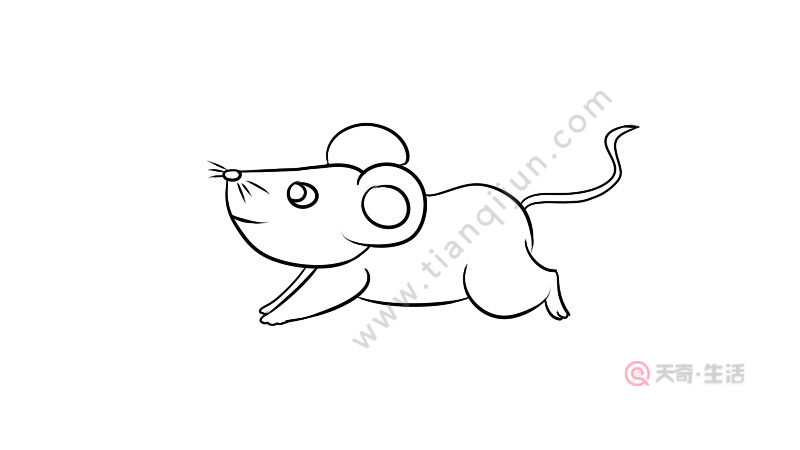 老鼠运动简笔画怎么画 老鼠运动简笔画画法