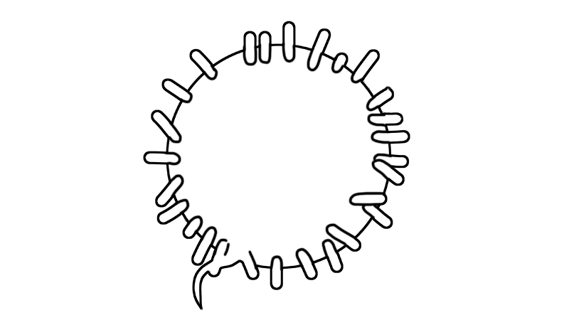 冠状病毒简笔画画法