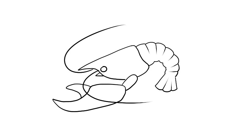 大龙虾简笔画教程