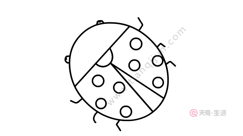 瓢虫简笔画步骤 瓢虫简笔画画法