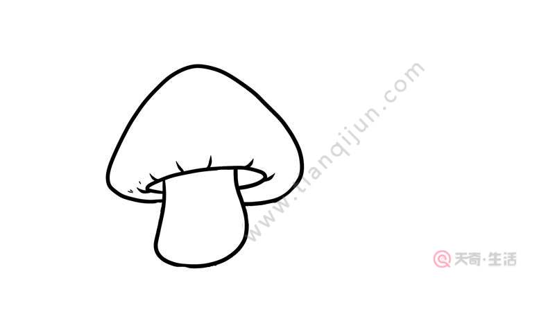 蘑菇简笔画 蘑菇简笔画步骤