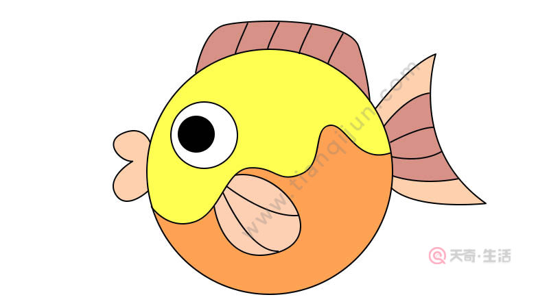 1,首先画出一个圆形做可爱鱼的身体.