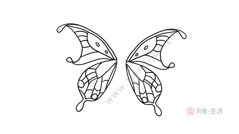 蝴蝶翅膀简笔画 蝴蝶翅膀的画法