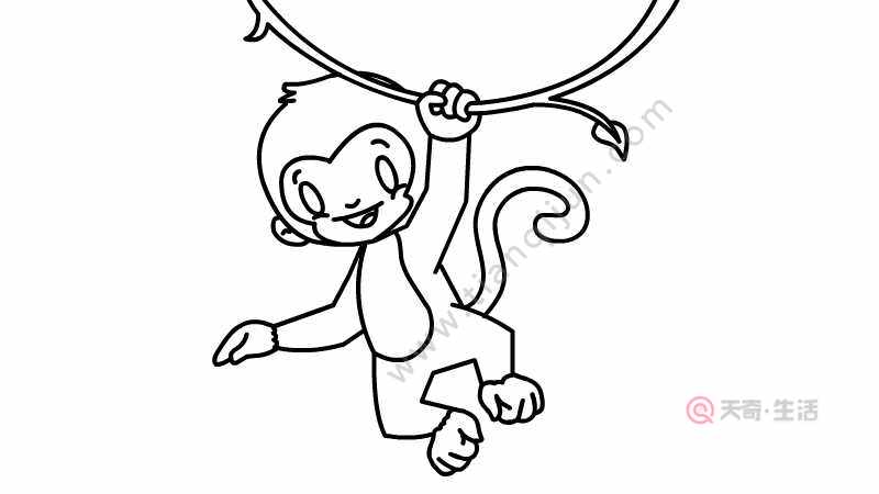 猴简笔画 猴怎么画