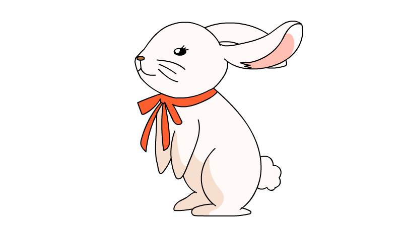兔子简笔画彩色