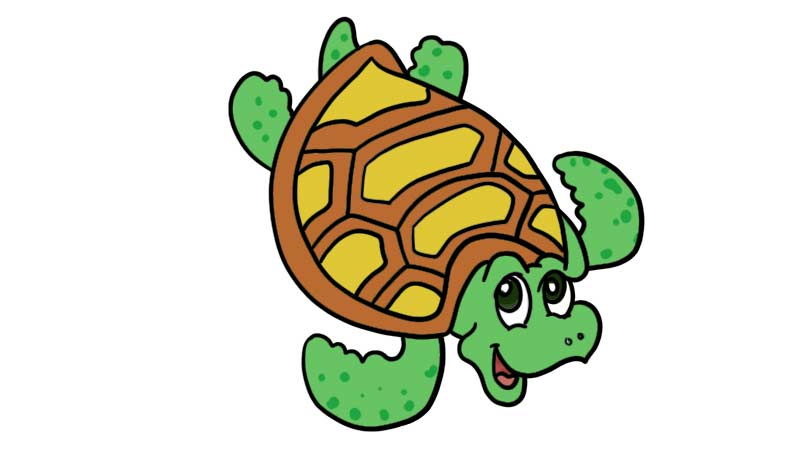 海龟简笔画