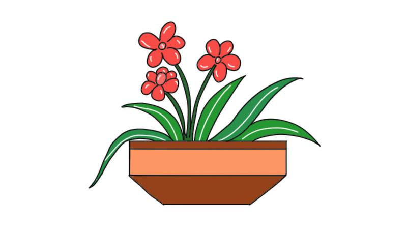 小花盆植物简笔画