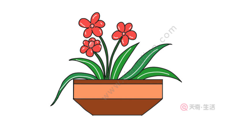 小花盆植物简笔画