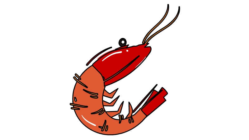 阿根廷大红虾简笔画
