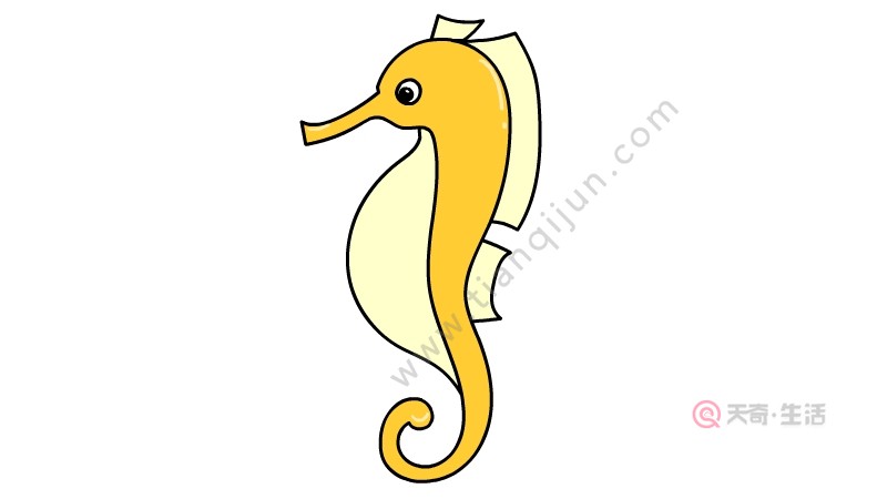 海马简笔画