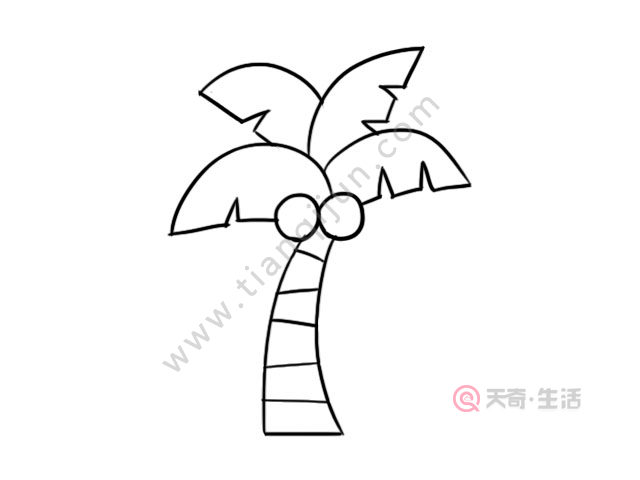天奇生活 简笔画大全 > 正文    5,接下来涂上颜色,椰子涂上黄色,树叶
