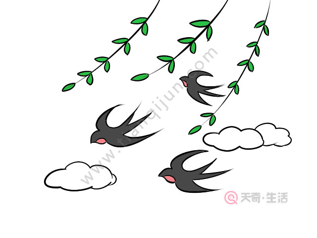 1,画三只燕子在空中飞.