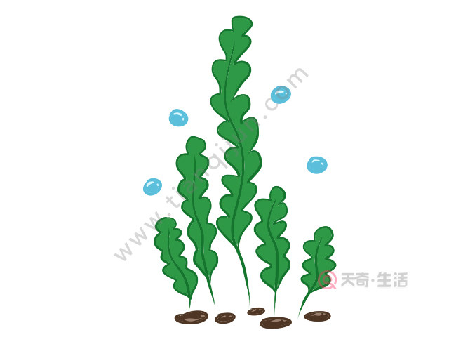 1,用绿色笔画几根水草.