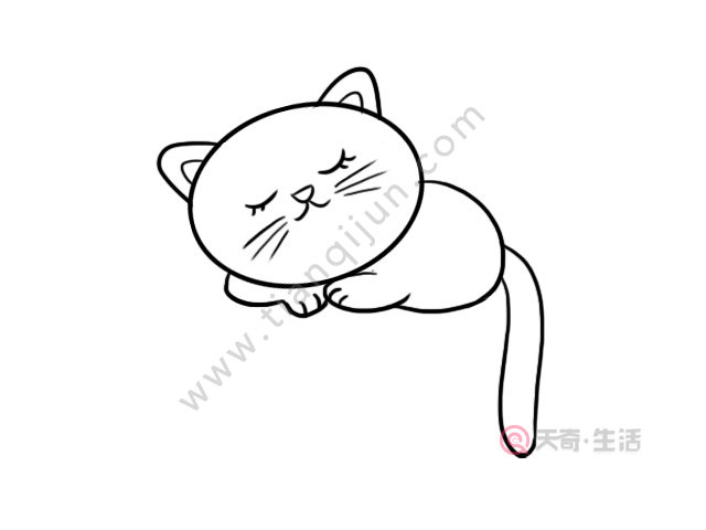 小猫咪简笔画 小猫咪怎么画