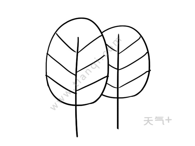 3,下面画一条线,画上小草.