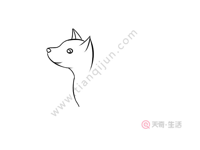 狐狸简笔画 零基础学狐狸简笔画
