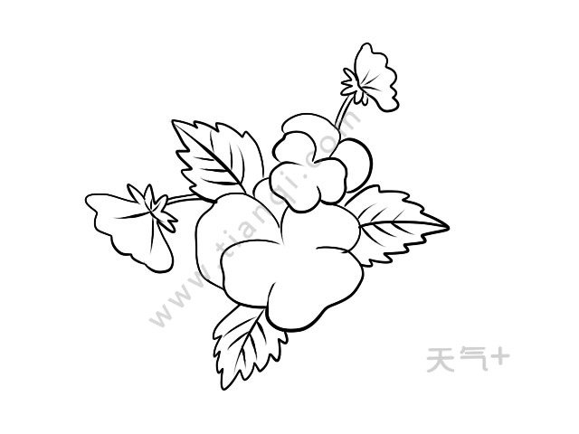 4,最后涂上颜色就可以啦.