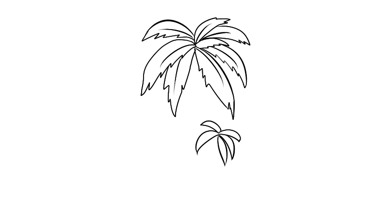 椰树简笔画