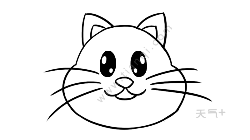 猫头简笔画 猫头的可爱画法
