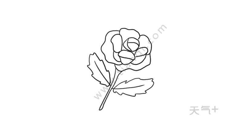 花的简笔画图片大全集 花的画法步骤