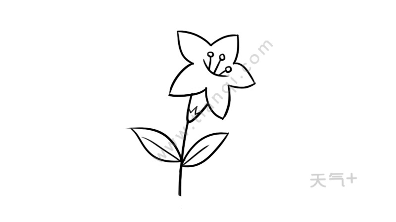 花朵简笔画简单又好看 花朵的简单画法