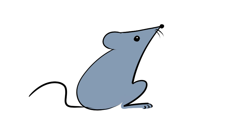 简笔画老鼠的画法7加2