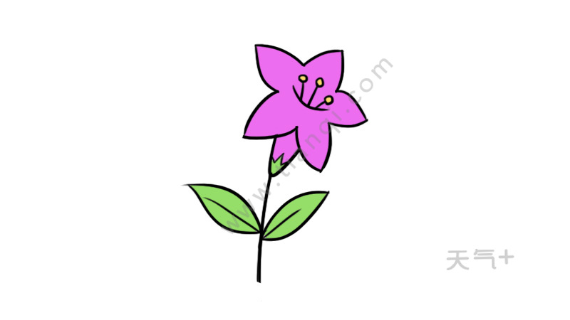 花朵简笔画简单又好看 花朵的简单画法