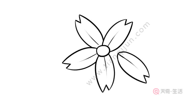 花瓣简笔画