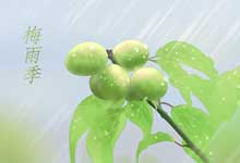 三瞿道中描写的是什么季节  三衢道中翻译