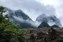 山居秋暝古诗赏析 山居秋暝翻译及赏析