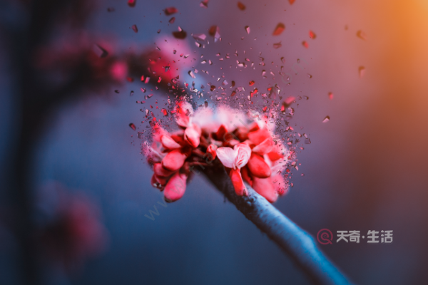 关雎选自诗经哪一篇