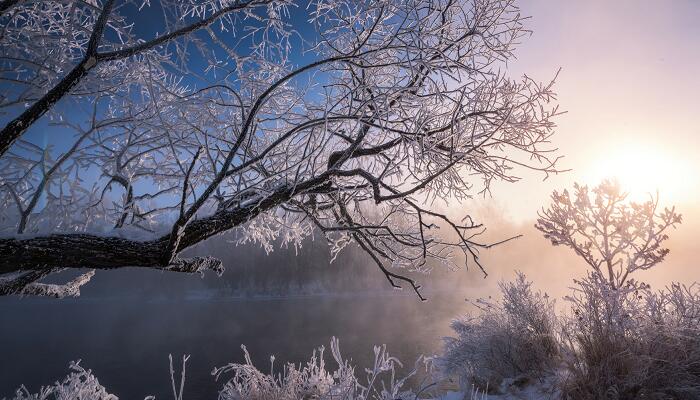 对雪高骈诗拼音版古诗对雪带拼音